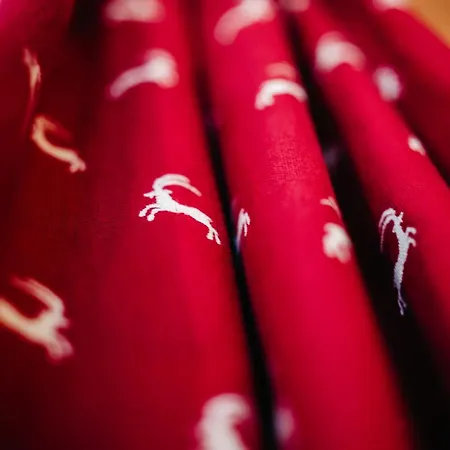 Primus シャレー *